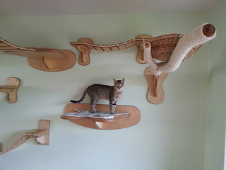Illustration for article titled This wall furniture is the coolest thing your cat will see all day